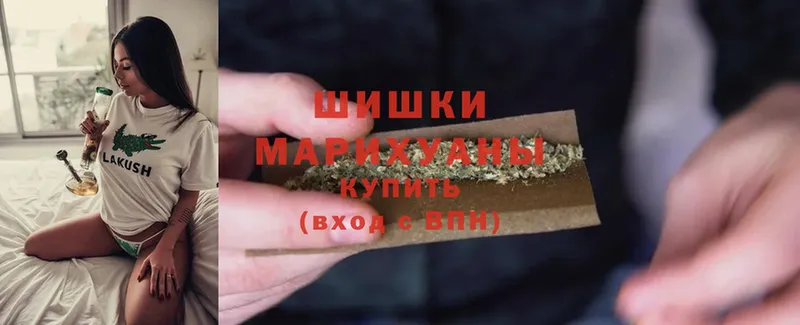 Шишки марихуана White Widow  продажа наркотиков  Кашин 